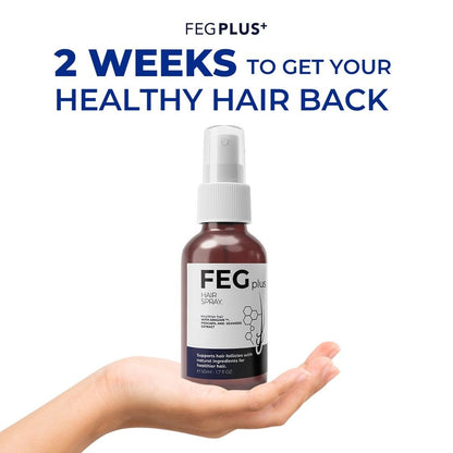 FEG Plus Hair Spray